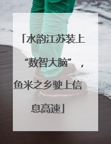 水韵江苏装上“数智大脑”，鱼米之乡驶上信息高速