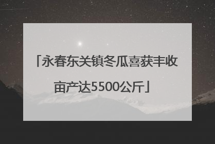 永春东关镇冬瓜喜获丰收 亩产达5500公斤