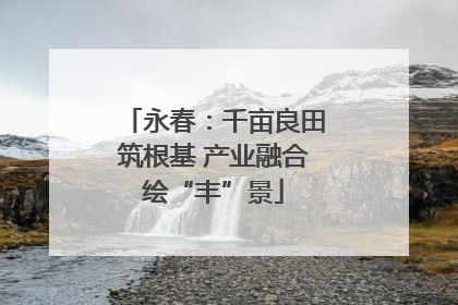 永春：千亩良田筑根基 产业融合绘“丰”景