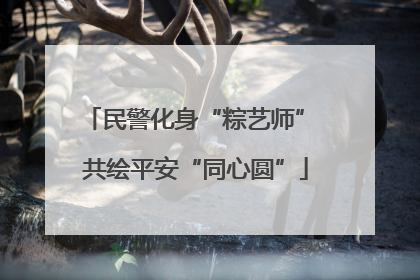 民警化身“粽艺师” 共绘平安“同心圆”