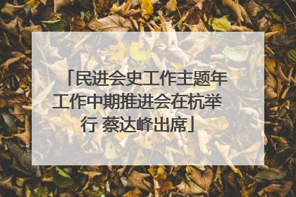 民进会史工作主题年工作中期推进会在杭举行 蔡达峰出席