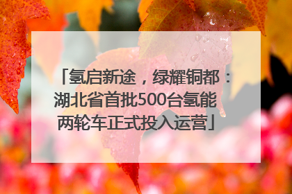 氢启新途，绿耀铜都：湖北省首批500台氢能两轮车正式投入运营
