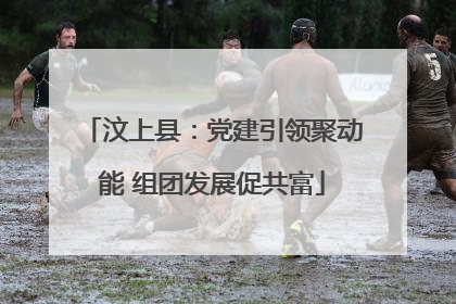 汶上县：党建引领聚动能 组团发展促共富