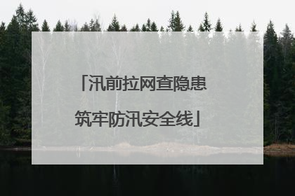 汛前拉网查隐患 筑牢防汛安全线