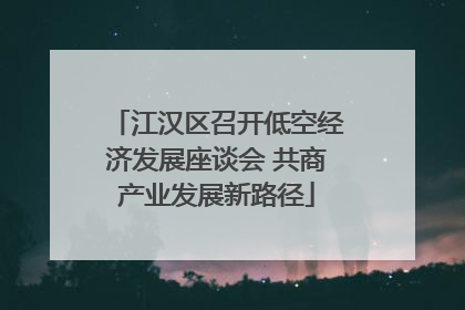 江汉区召开低空经济发展座谈会 共商产业发展新路径