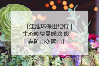 江淮环保世纪行｜生态修复显成效 废弃矿山变青山