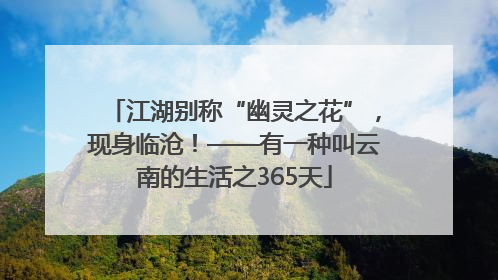 江湖别称“幽灵之花”，现身临沧！——有一种叫云南的生活之365天