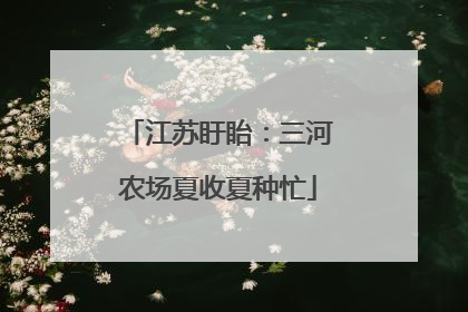 江苏盱眙：三河农场夏收夏种忙