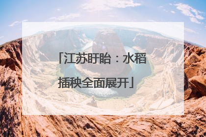 江苏盱眙：水稻插秧全面展开