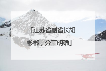 江苏省副省长胡彬郴，分工明确