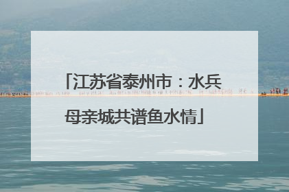 江苏省泰州市：水兵母亲城共谱鱼水情
