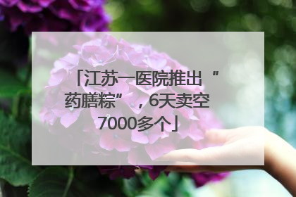 江苏一医院推出“药膳粽”，6天卖空7000多个