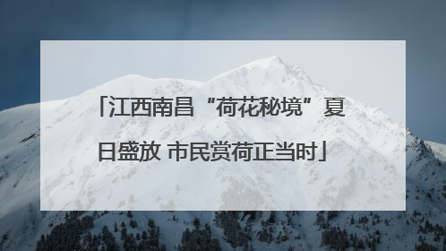 江西南昌“荷花秘境”夏日盛放 市民赏荷正当时