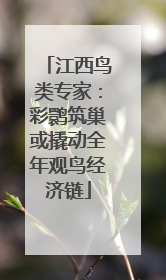 江西鸟类专家：彩鹮筑巢或撬动全年观鸟经济链