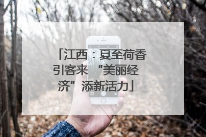江西：夏至荷香引客来 “美丽经济”添新活力