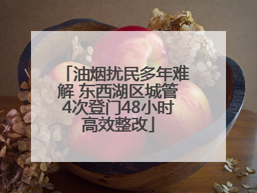 油烟扰民多年难解 东西湖区城管4次登门48小时高效整改