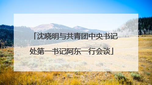 沈晓明与共青团中央书记处第一书记阿东一行会谈