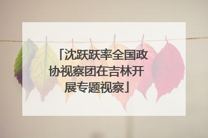 沈跃跃率全国政协视察团在吉林开展专题视察