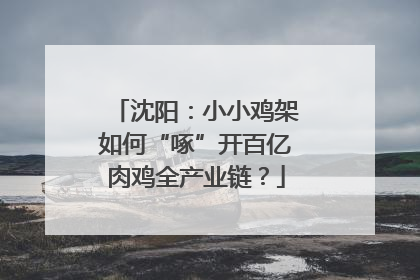 沈阳：小小鸡架如何“啄”开百亿肉鸡全产业链？
