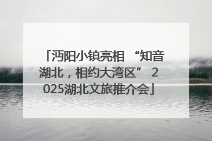 沔阳小镇亮相 “知音湖北，相约大湾区” 2025湖北文旅推介会
