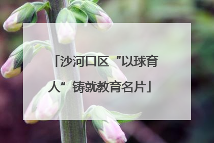 沙河口区“以球育人”铸就教育名片