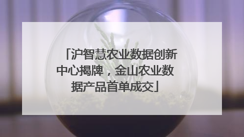 沪智慧农业数据创新中心揭牌，金山农业数据产品首单成交