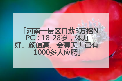 河南一景区月薪3万招NPC：18-28岁，体力好、颜值高、会聊天！已有1000多人应聘