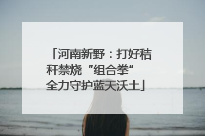 河南新野：打好秸秆禁烧“组合拳” 全力守护蓝天沃土