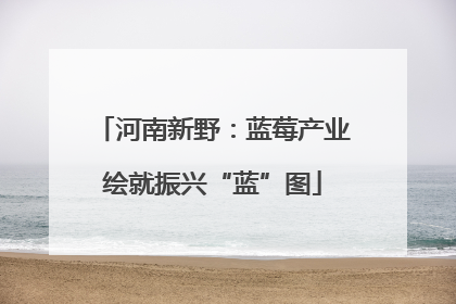河南新野：蓝莓产业绘就振兴“蓝”图