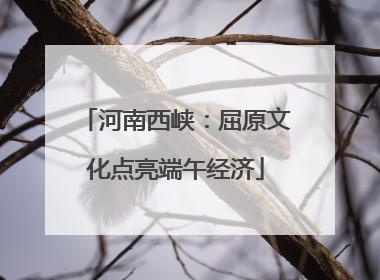 河南西峡：屈原文化点亮端午经济