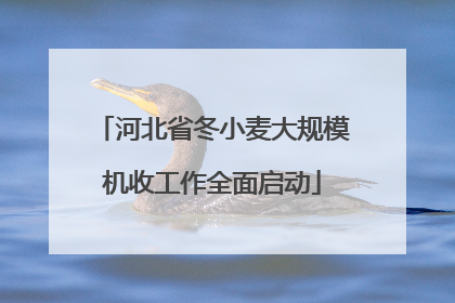 河北省冬小麦大规模机收工作全面启动