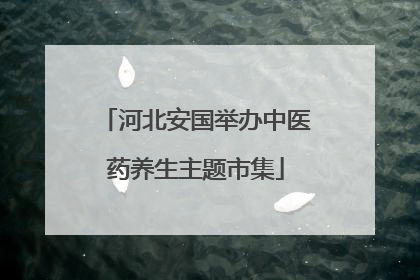 河北安国举办中医药养生主题市集