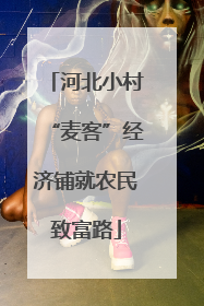 河北小村“麦客”经济铺就农民致富路