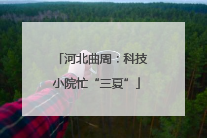 河北曲周：科技小院忙“三夏”