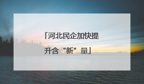 河北民企加快提升含“新”量