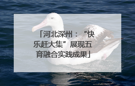 河北深州：“快乐赶大集”展现五育融合实践成果