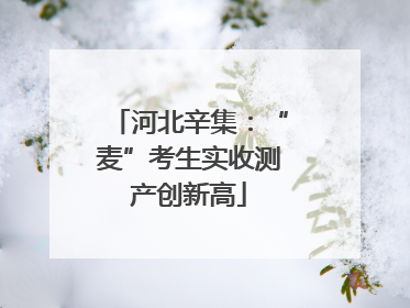 河北辛集：“麦”考生实收测产创新高