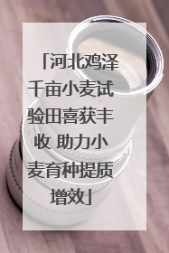 河北鸡泽千亩小麦试验田喜获丰收 助力小麦育种提质增效