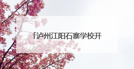泸州江阳石寨学校开展2025年“六一”少先队入队活动