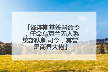 泽连斯基签署命令，任命乌克兰无人系统部队新司令，其曾是商界大佬