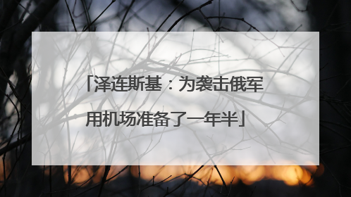 泽连斯基：为袭击俄军用机场准备了一年半