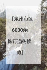 泉州市区6000余株行道树修剪
