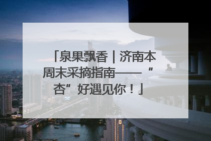 泉果飘香｜济南本周末采摘指南——“杏”好遇见你！