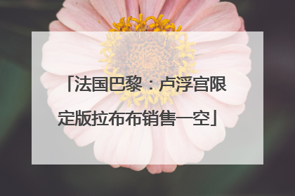 法国巴黎：卢浮宫限定版拉布布销售一空