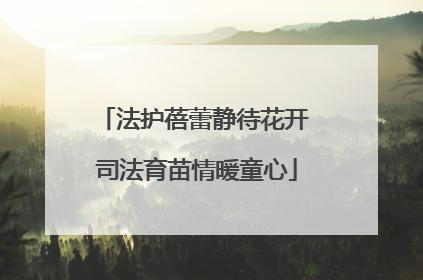 法护蓓蕾静待花开 司法育苗情暖童心