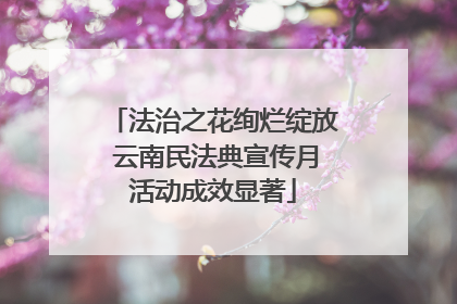 法治之花绚烂绽放 云南民法典宣传月活动成效显著