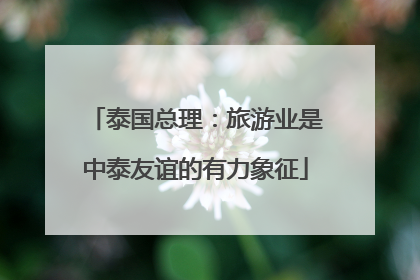 泰国总理：旅游业是中泰友谊的有力象征
