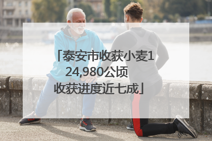 泰安市收获小麦124,980公顷 收获进度近七成