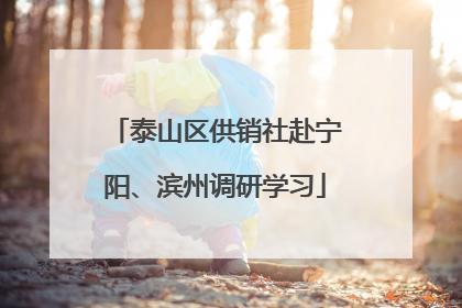 泰山区供销社赴宁阳、滨州调研学习