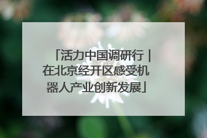 活力中国调研行｜在北京经开区感受机器人产业创新发展